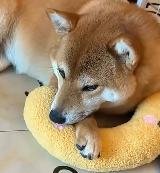 RelaxPet Travesseiro de Veludo em forma de U para cães e gatos.